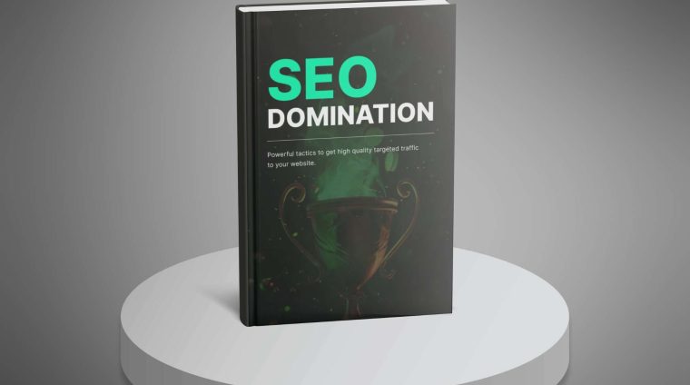 SEO Domination3 SEO Domination3